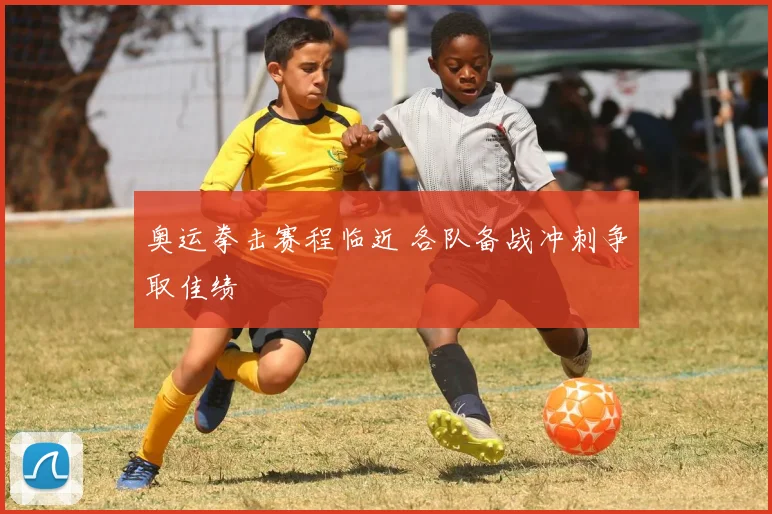 奥运拳击赛程临近 各队备战冲刺争取佳绩