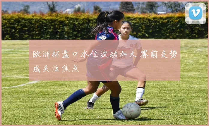 欧洲杯盘口水位波动加大 赛前走势成关注焦点