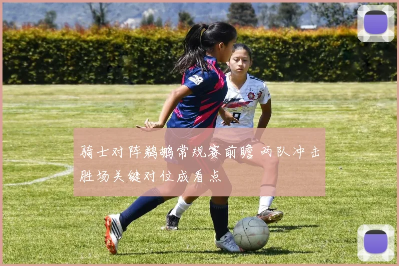 骑士对阵鹈鹕常规赛前瞻 两队冲击胜场关键对位成看点