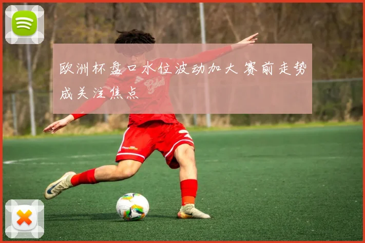 欧洲杯盘口水位波动加大 赛前走势成关注焦点