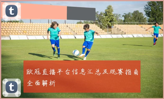 欧冠直播平台信息汇总及观赛指南全面解析