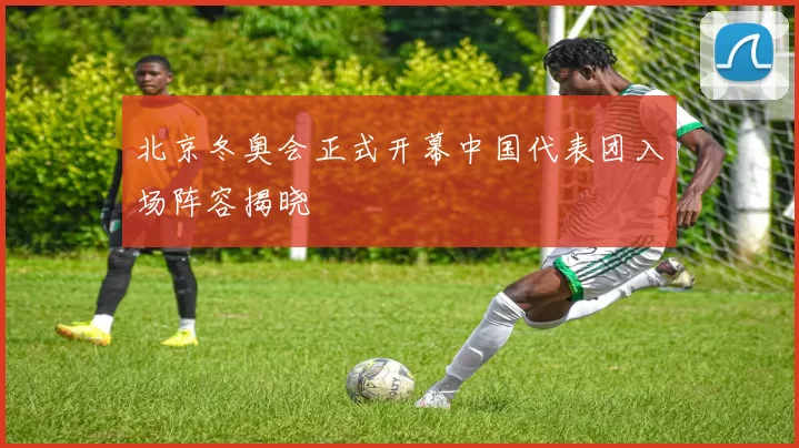 北京冬奥会正式开幕中国代表团入场阵容揭晓