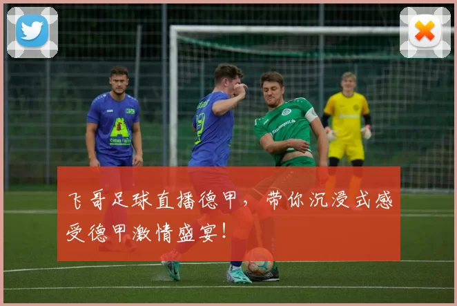 飞哥足球直播德甲，带你沉浸式感受德甲激情盛宴！