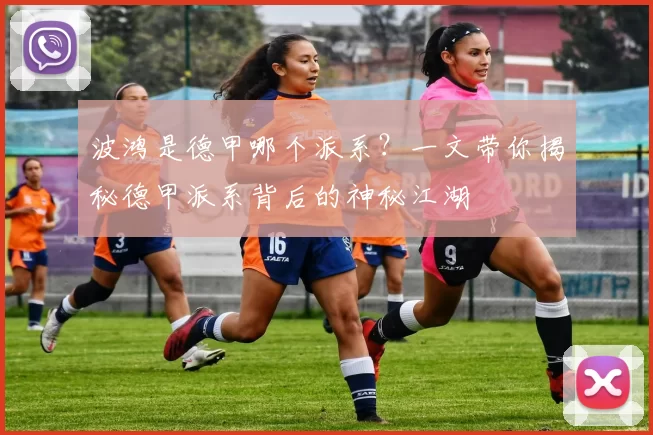 波鸿是德甲哪个派系？一文带你揭秘德甲派系背后的神秘江湖